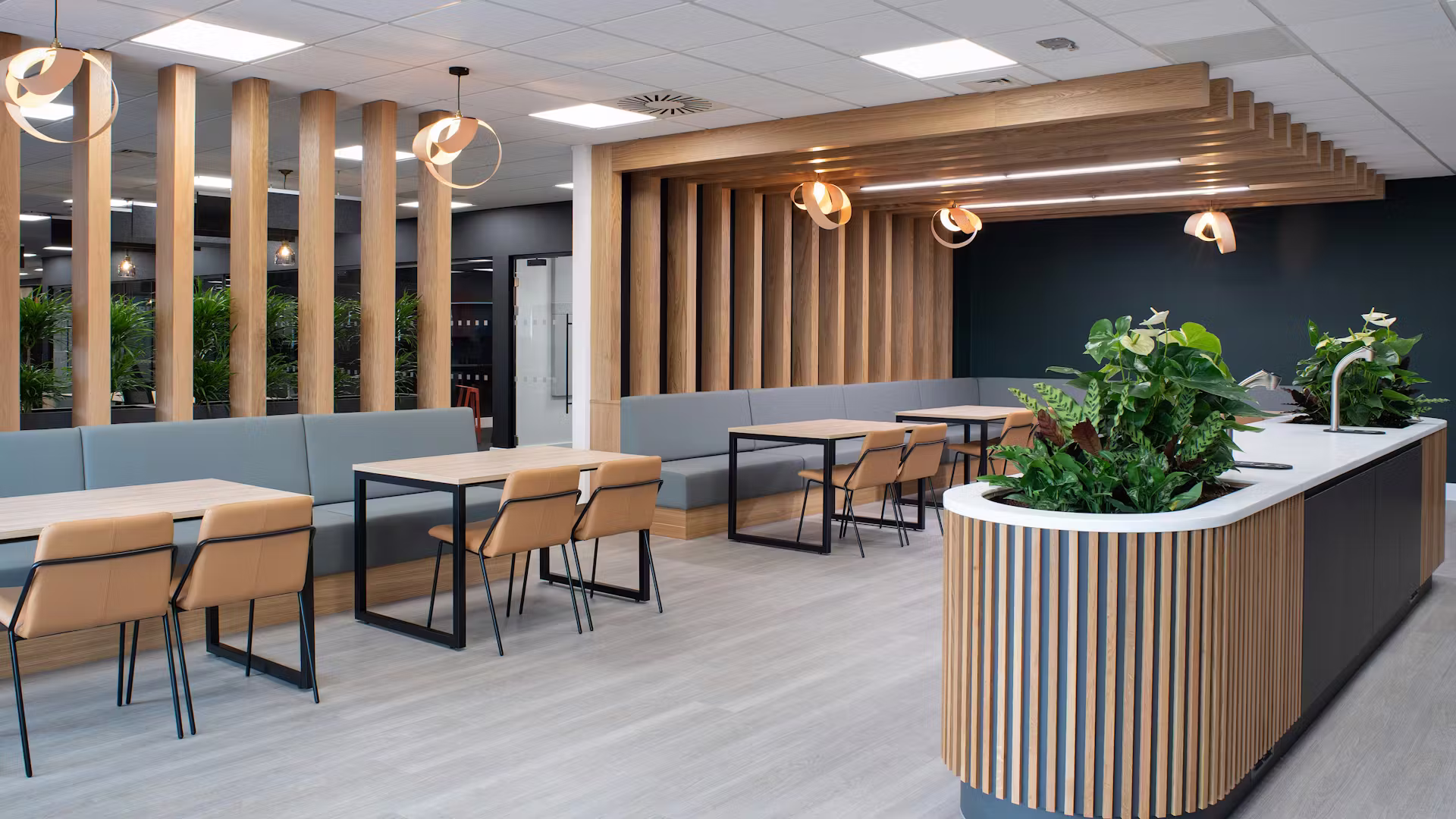 Your Guide to a Detail and Build Fit-Out Project - DENTON