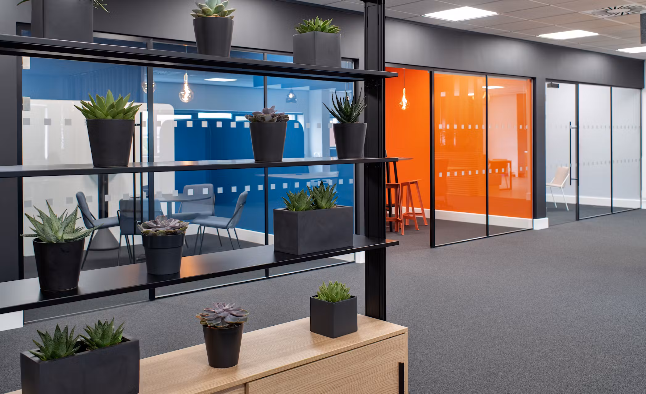 Brita-28-highres-sRGB