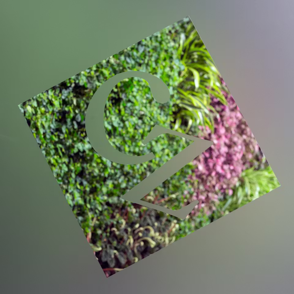 Czarnikow-02-highres-sRGB-scaled