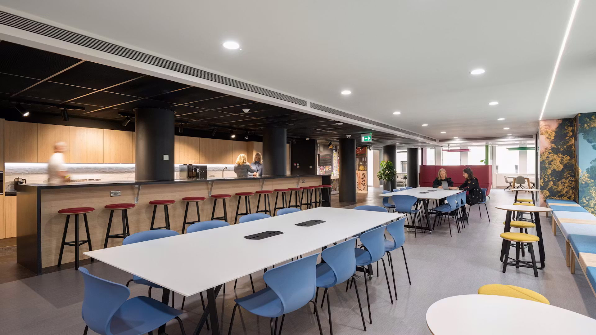 Office Layout: Expert Advice on How to Plan Your Space - DENTON