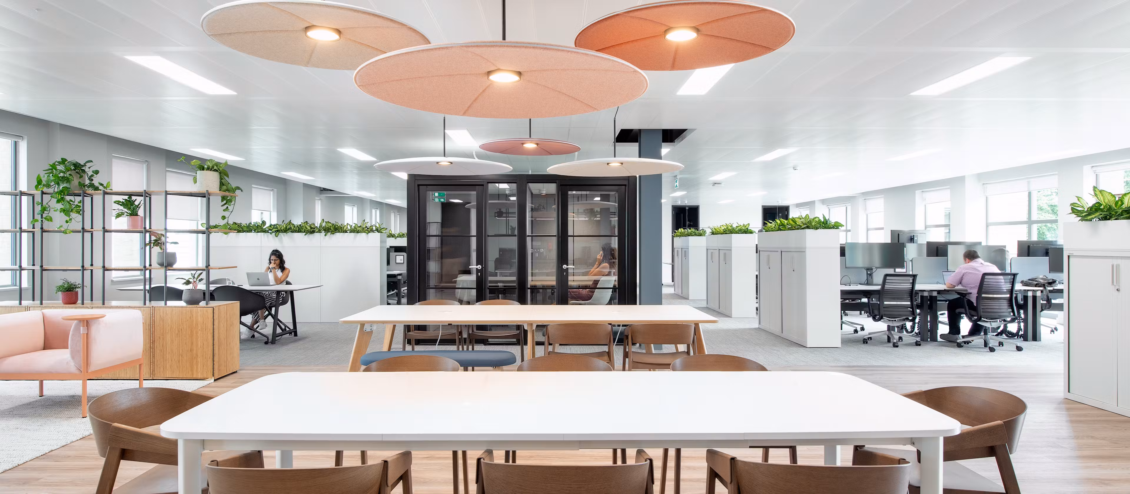 Net-App-05-highres-sRGB-2