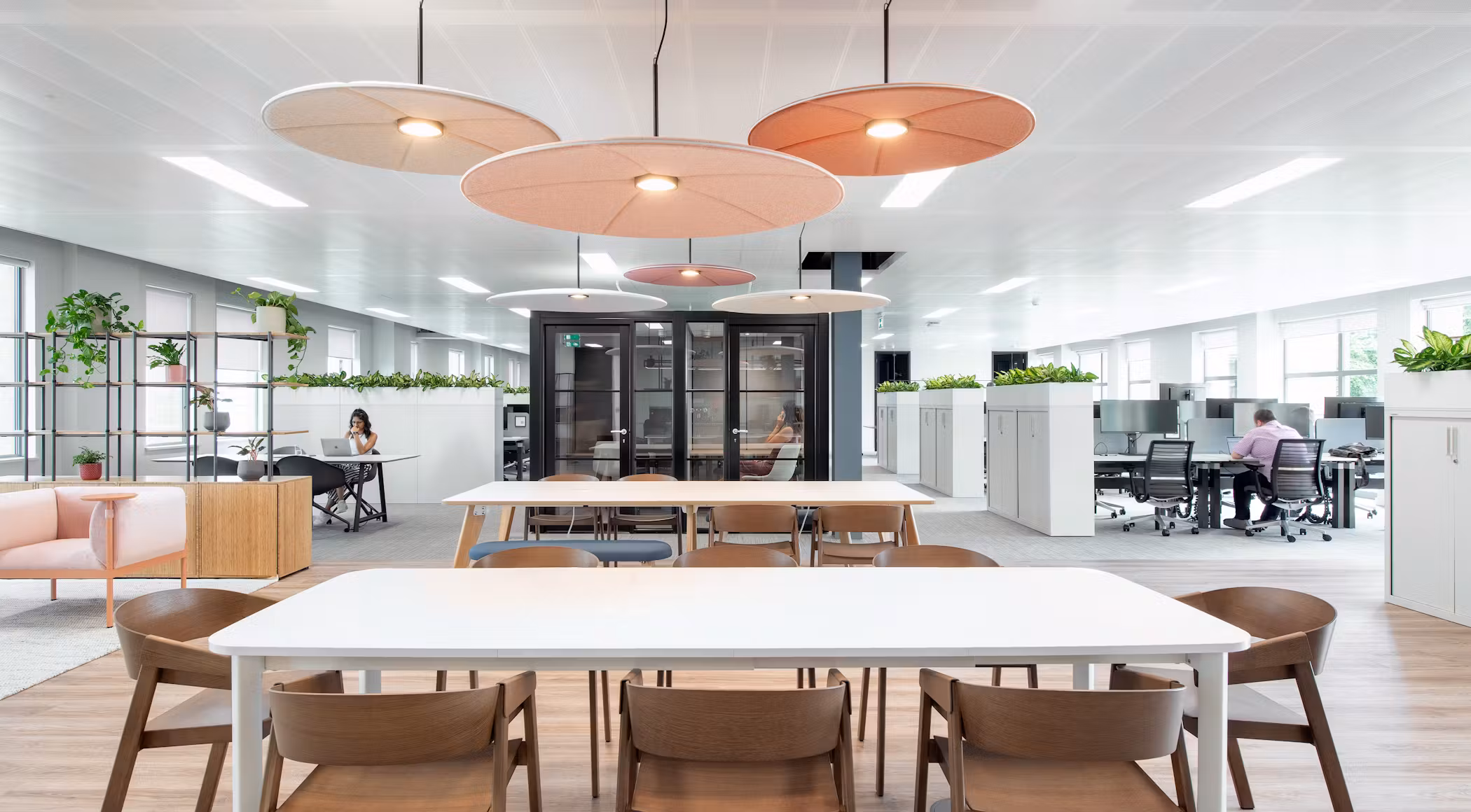 Net-App-05-highres-sRGB-3