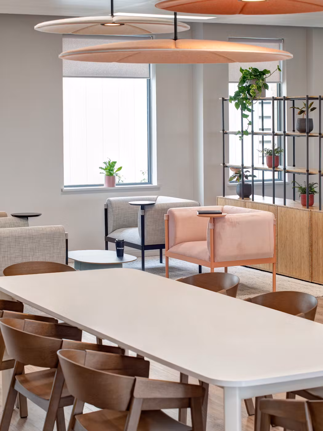 Net-App-21-no-reflection-highres-sRGB-scaled