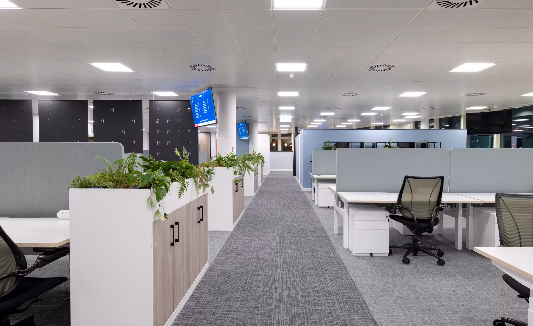 Peninsula-20-highres-sRGB-1