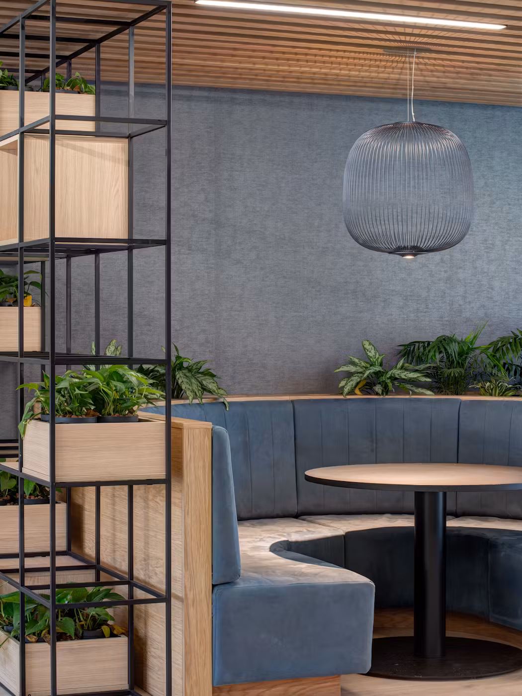 Stevens-Bolton-13-highres-sRGB