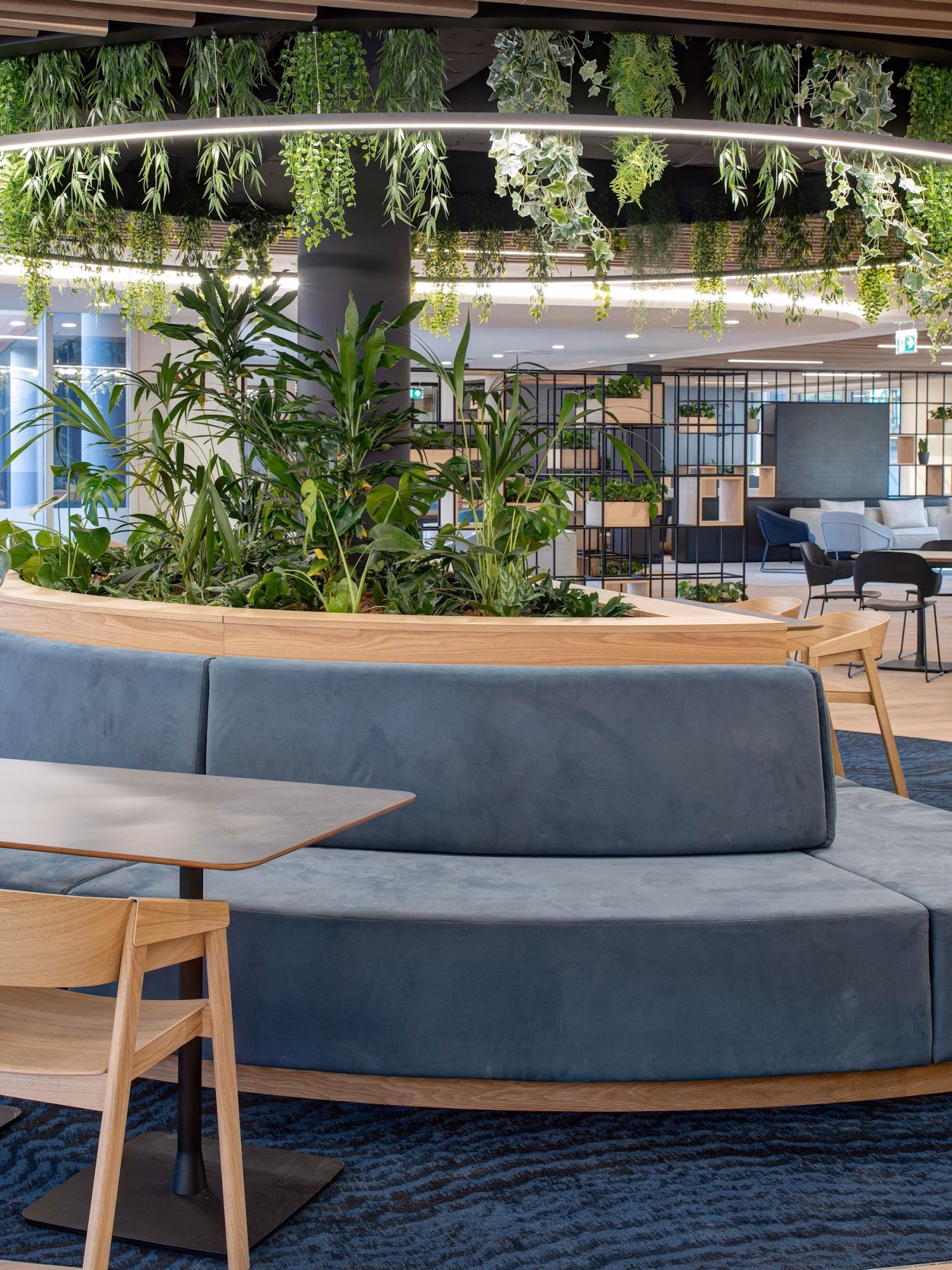 Stevens-Bolton-19-highres-sRGB-1