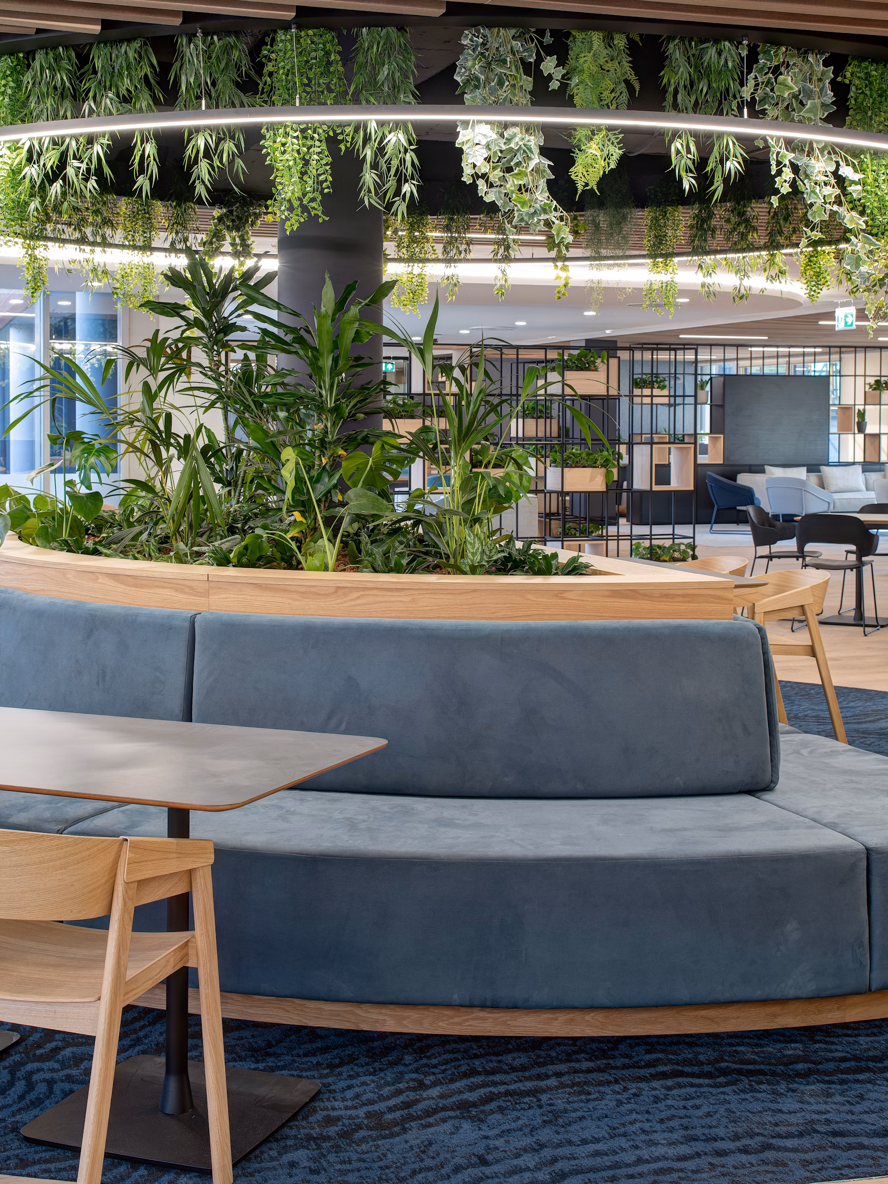 Stevens-Bolton-19-highres-sRGB