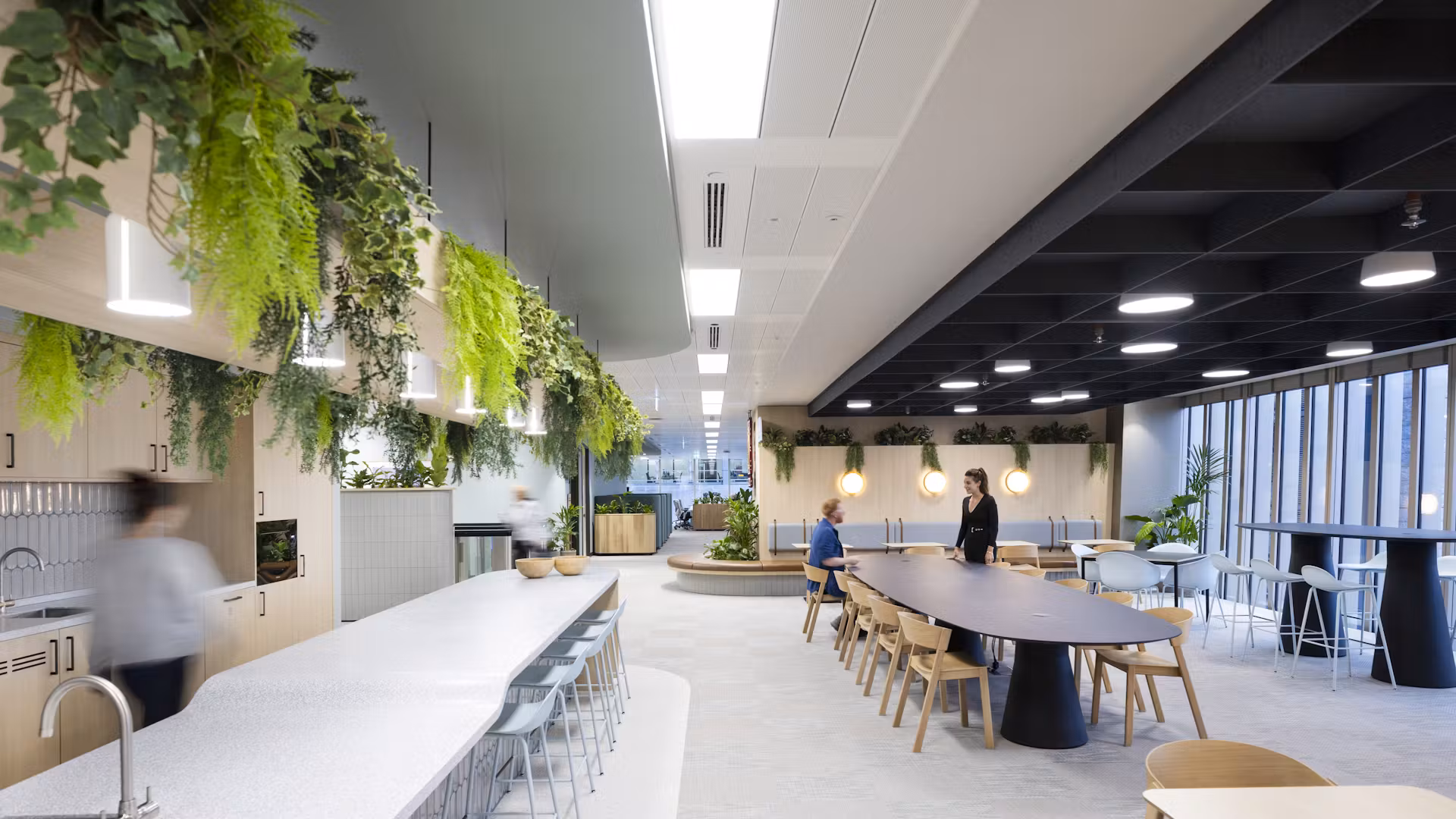 zGWz1ljl-NCAP_COSTAIN_02